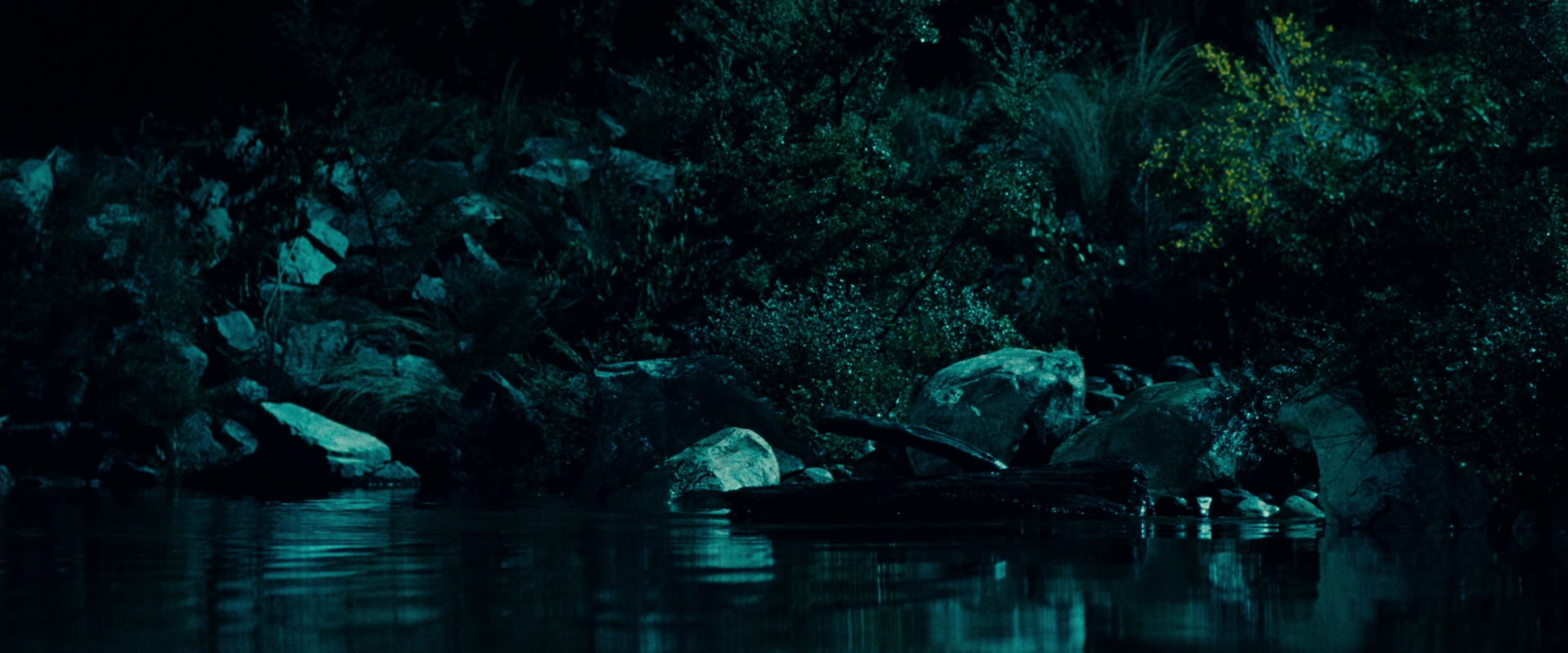 The Lord of the Rings: The Fellowship of the Ring (2001) HD screenshot 20723