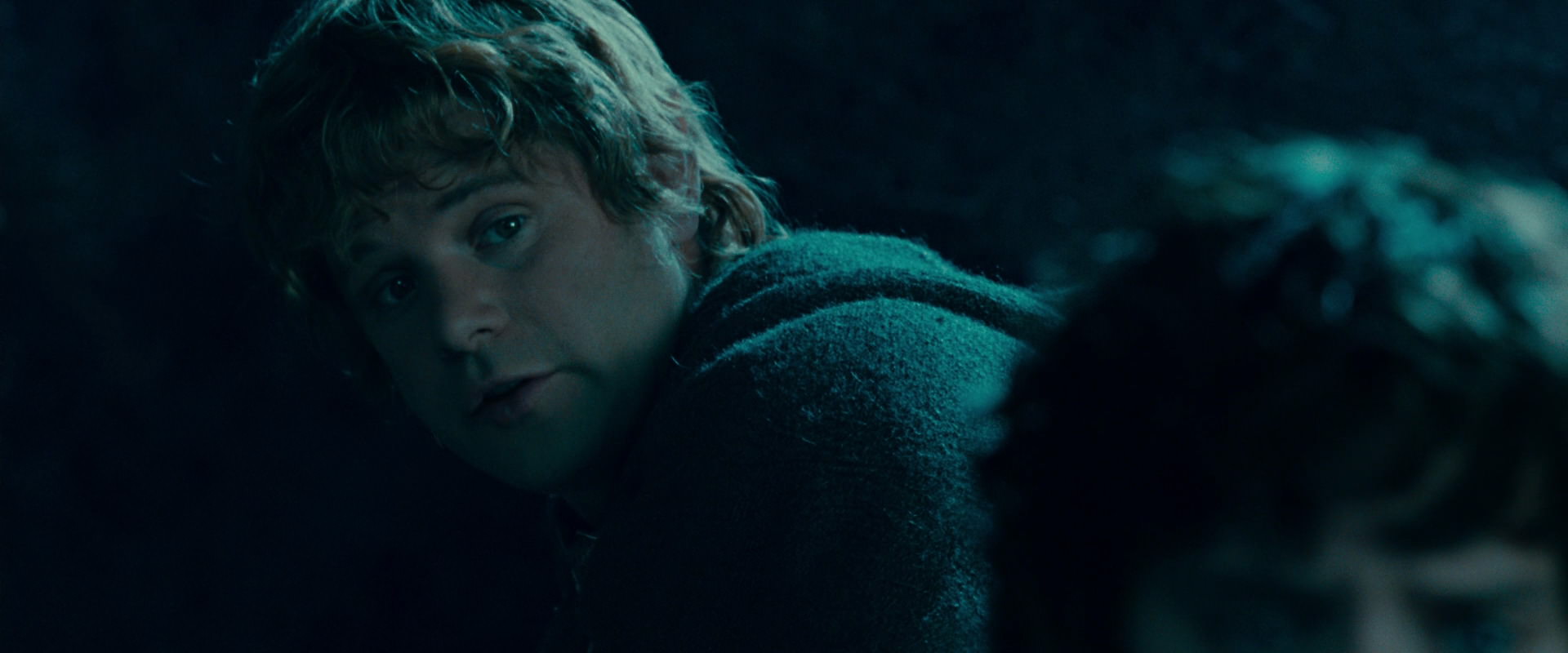 The Lord of the Rings: The Fellowship of the Ring (2001) screencap 20760