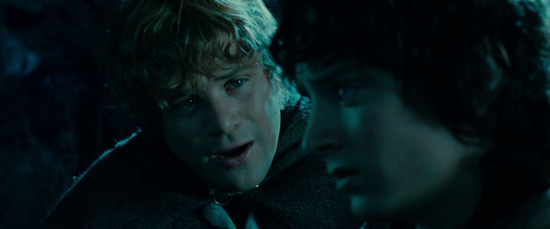 The Lord of the Rings: The Fellowship of the Ring (2001) movie still 20773