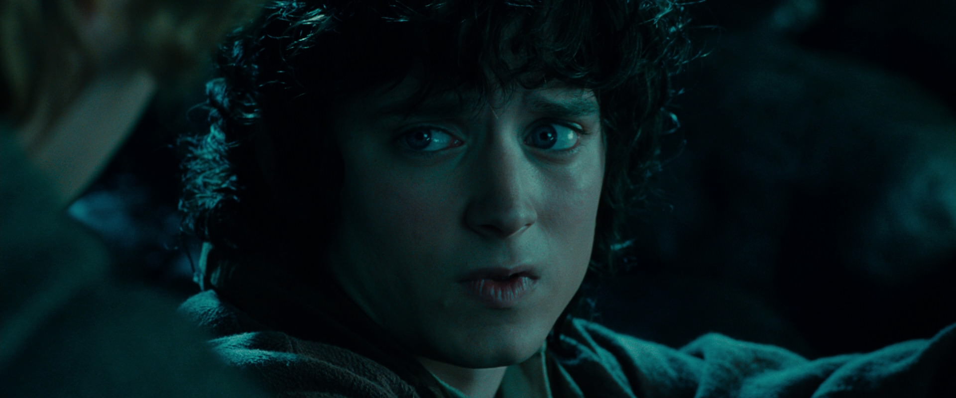The Lord of the Rings: The Fellowship of the Ring (2001) screencap 20793