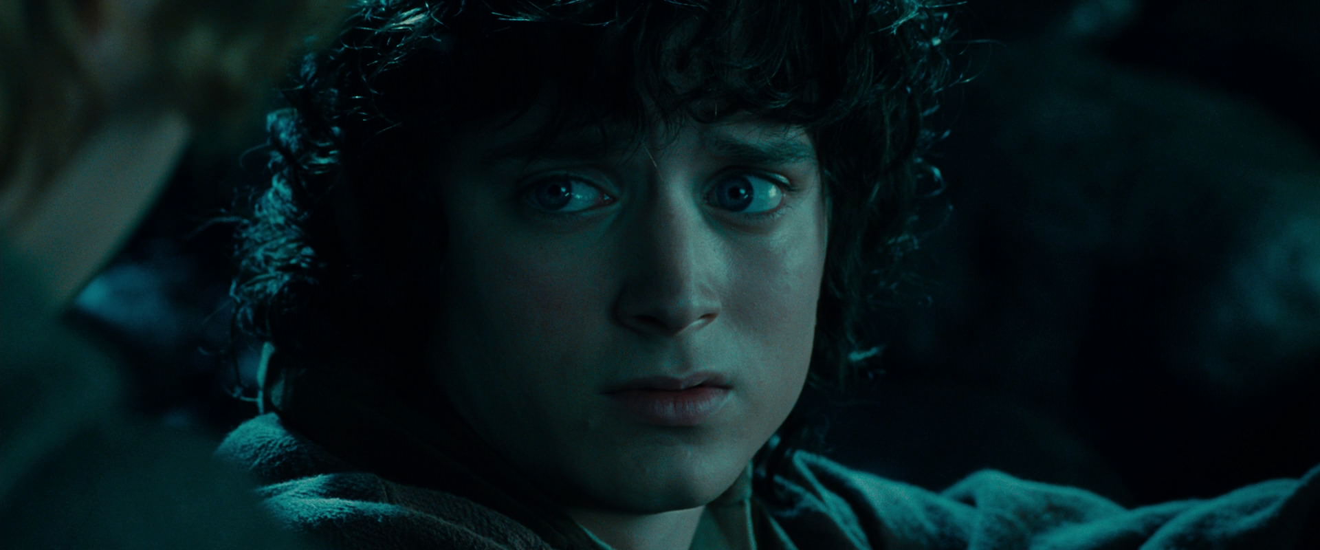 The Lord of the Rings: The Fellowship of the Ring (2001) screencap 20799