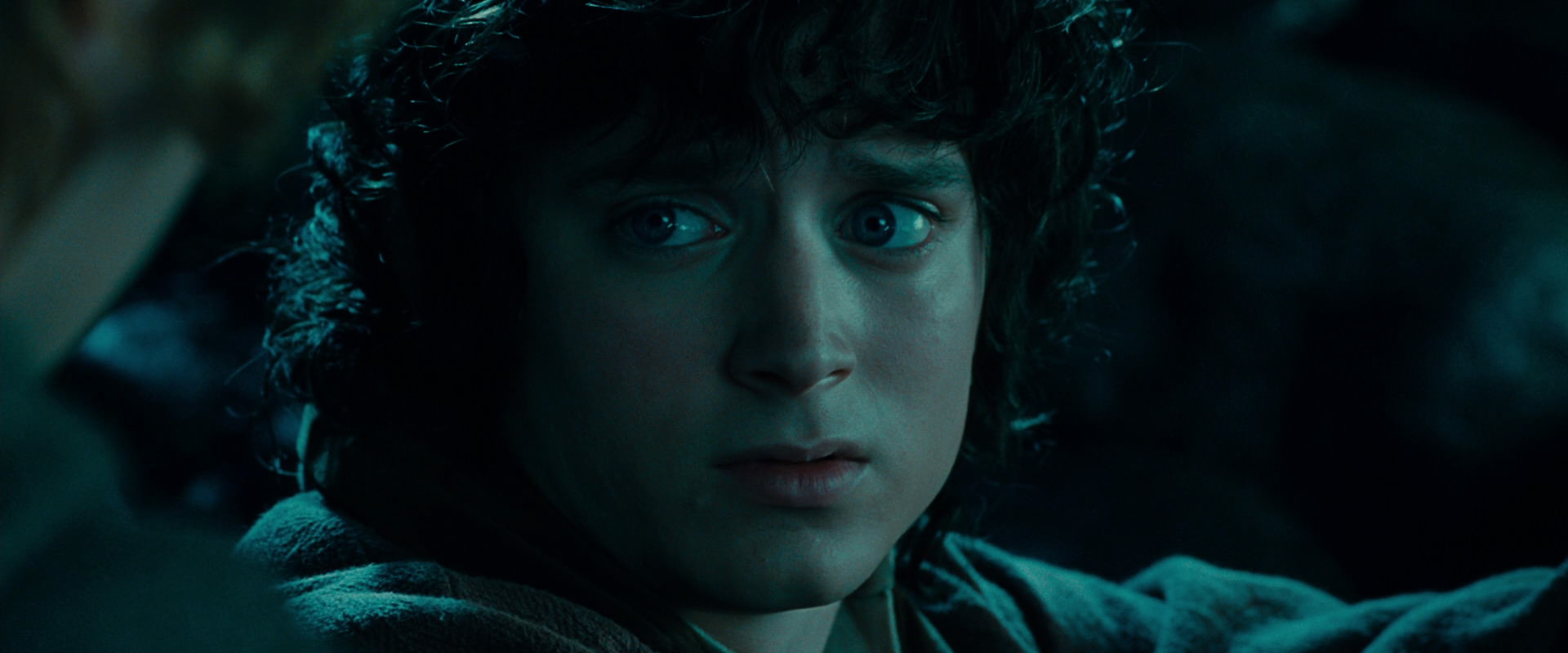 The Lord of the Rings: The Fellowship of the Ring (2001) movie still 20800