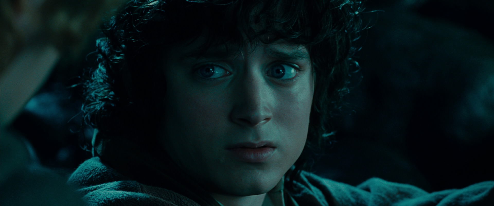 The Lord of the Rings: The Fellowship of the Ring (2001) HD screenshot 20801