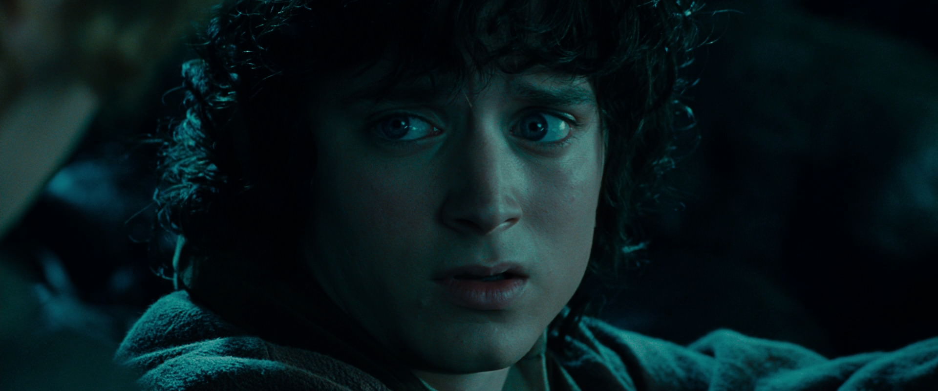 The Lord of the Rings: The Fellowship of the Ring (2001) screencap 20802