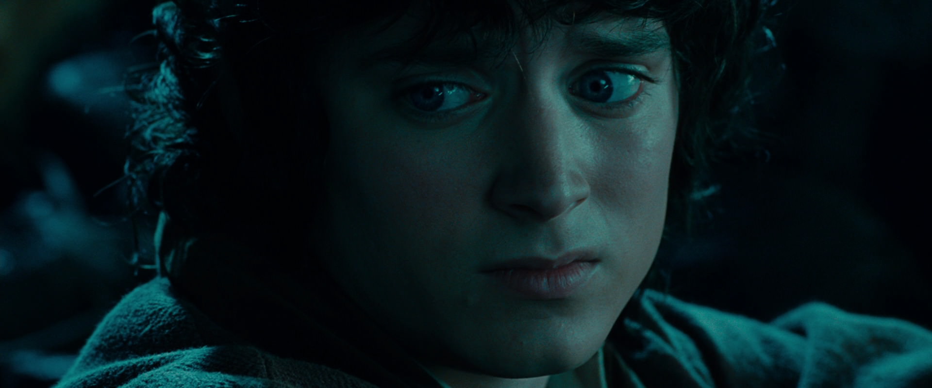The Lord of the Rings: The Fellowship of the Ring (2001) screencap 20817