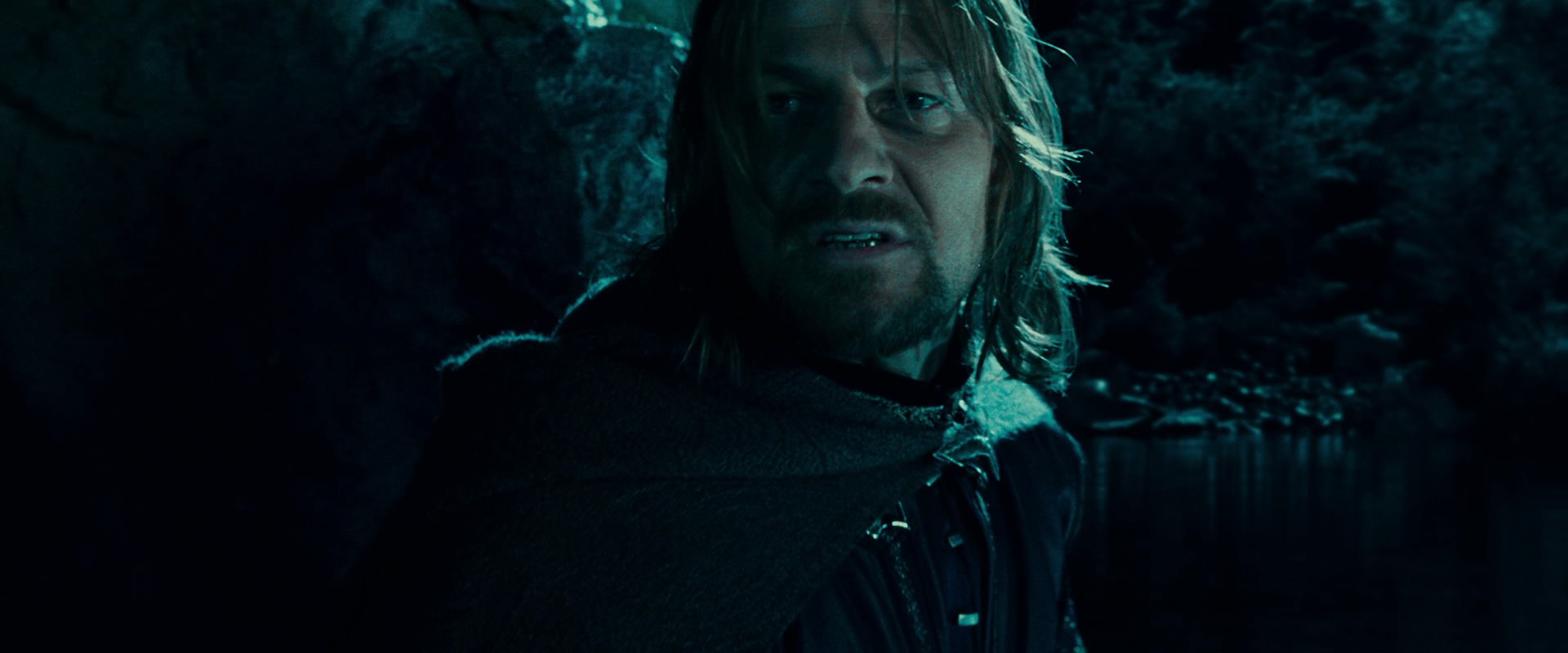 The Lord of the Rings: The Fellowship of the Ring (2001) screencap 20829