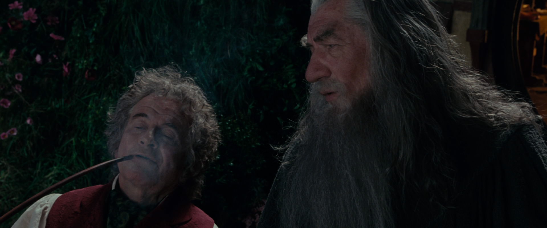 The Lord of the Rings: The Fellowship of the Ring (2001) screencap 2088