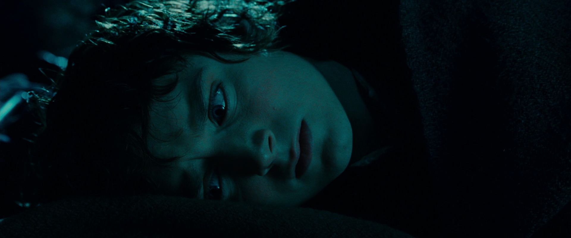 The Lord of the Rings: The Fellowship of the Ring (2001) HD screenshot 20888