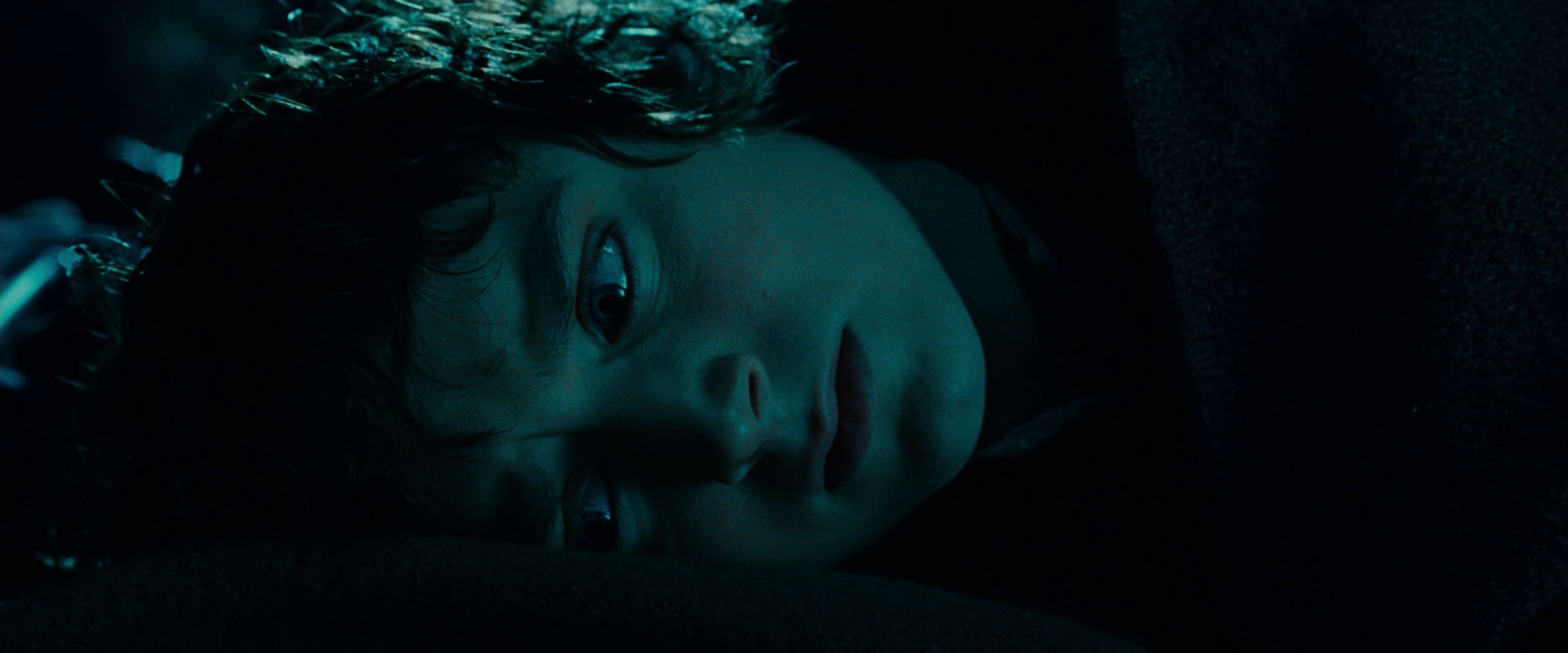 The Lord of the Rings: The Fellowship of the Ring (2001) screencap 20889