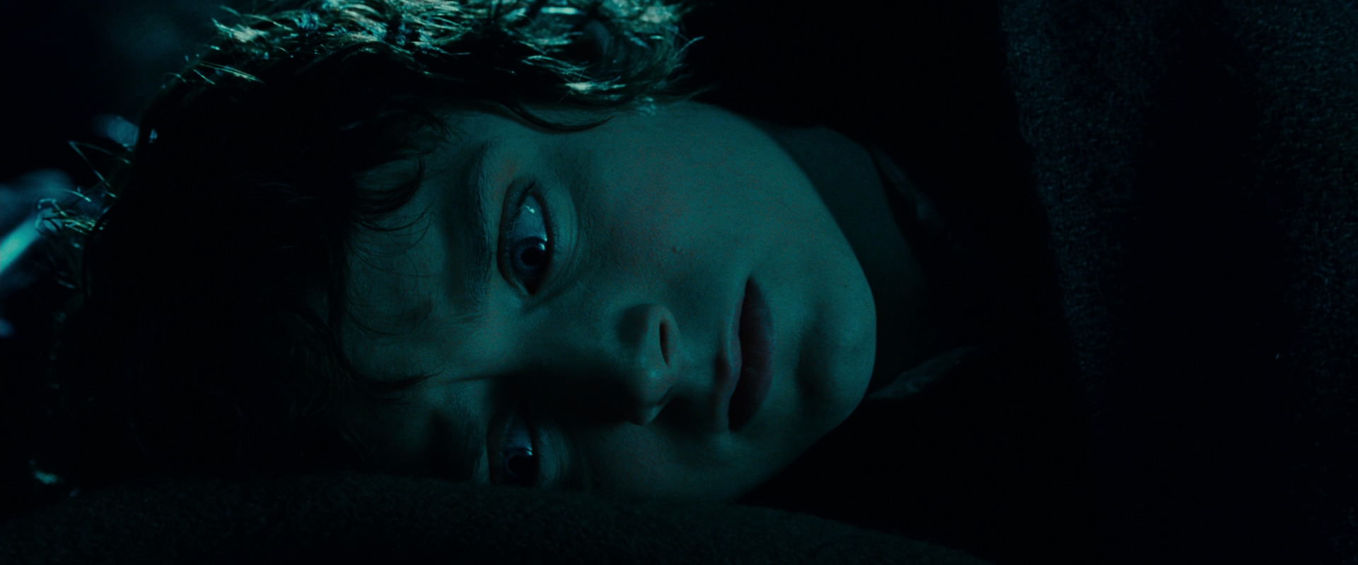 The Lord of the Rings: The Fellowship of the Ring (2001) HD screenshot 20891