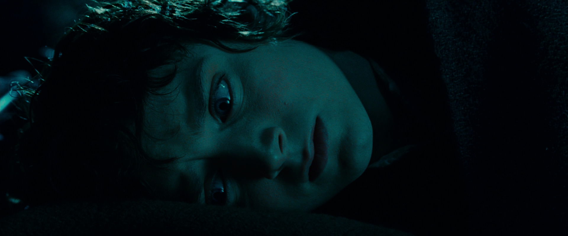 The Lord of the Rings: The Fellowship of the Ring (2001) screencap 20892