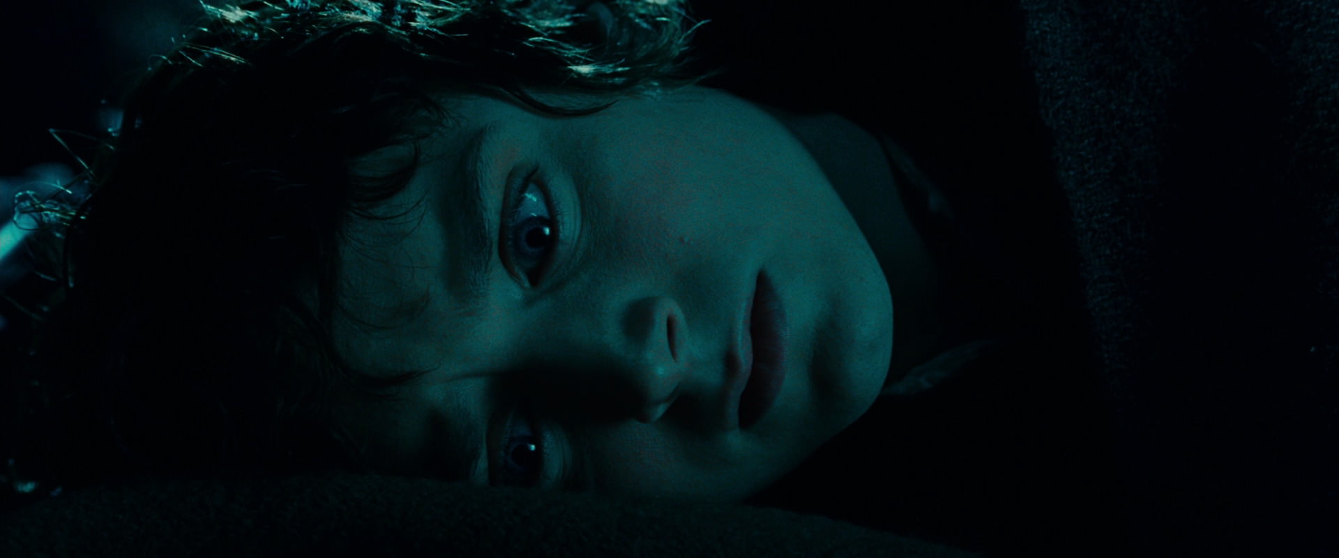 The Lord of the Rings: The Fellowship of the Ring (2001) movie still 20893