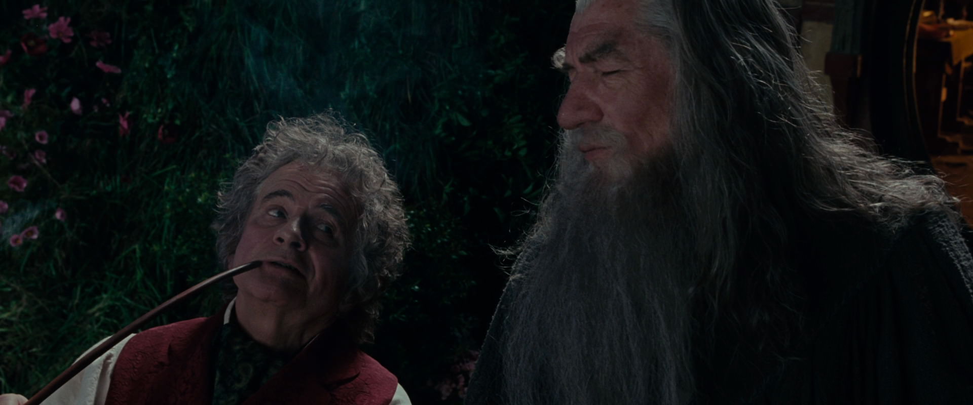 The Lord of the Rings: The Fellowship of the Ring (2001) screencap 2091
