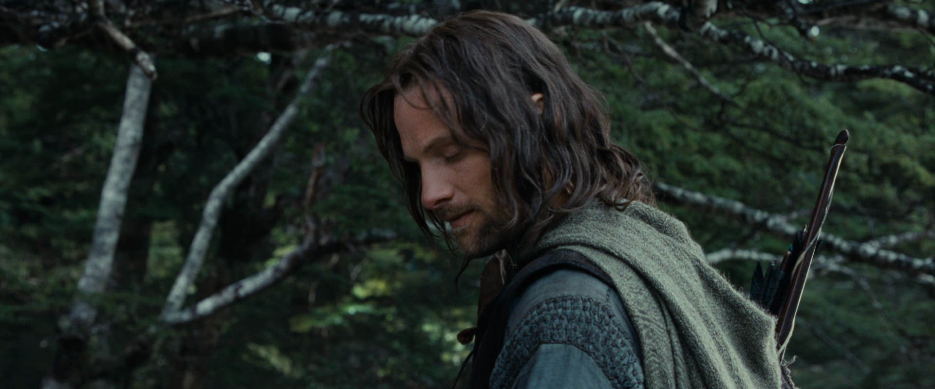 The Lord of the Rings: The Fellowship of the Ring (2001) screencap 21141