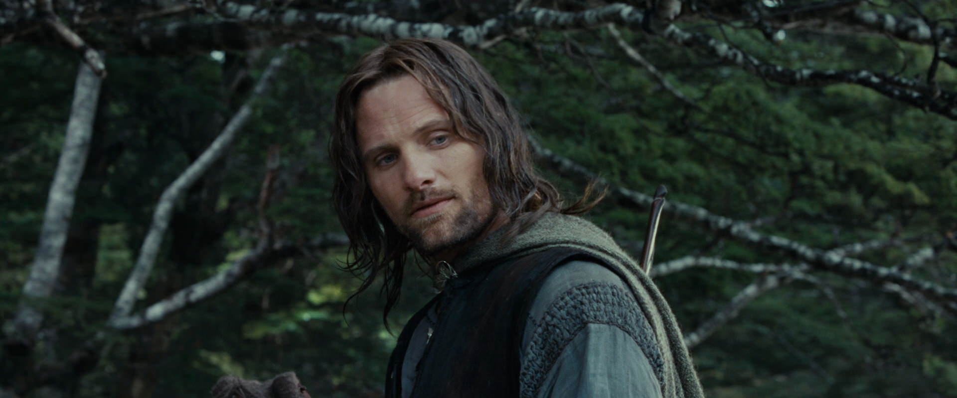 The Lord of the Rings: The Fellowship of the Ring (2001) screencap 21150