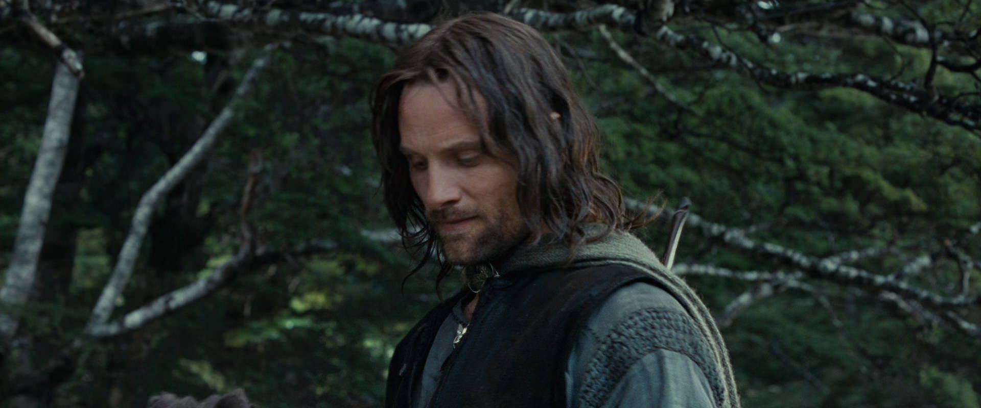 The Lord of the Rings: The Fellowship of the Ring (2001) screencap 21153