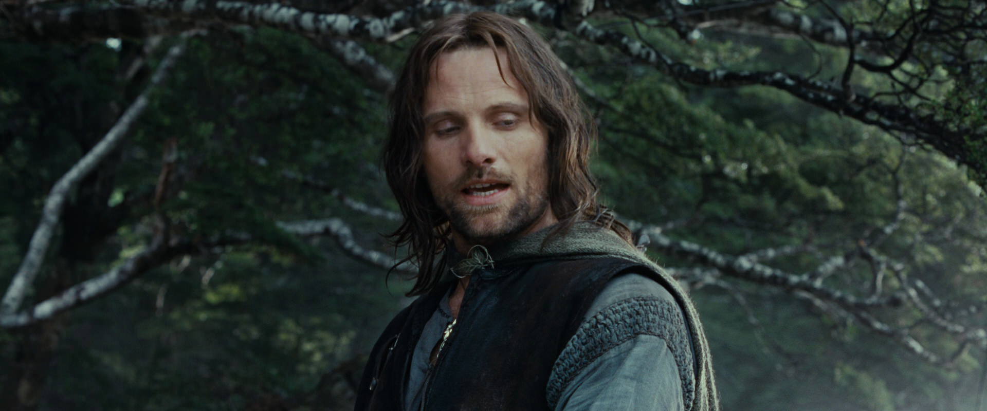 The Lord of the Rings: The Fellowship of the Ring (2001) HD screenshot 21176