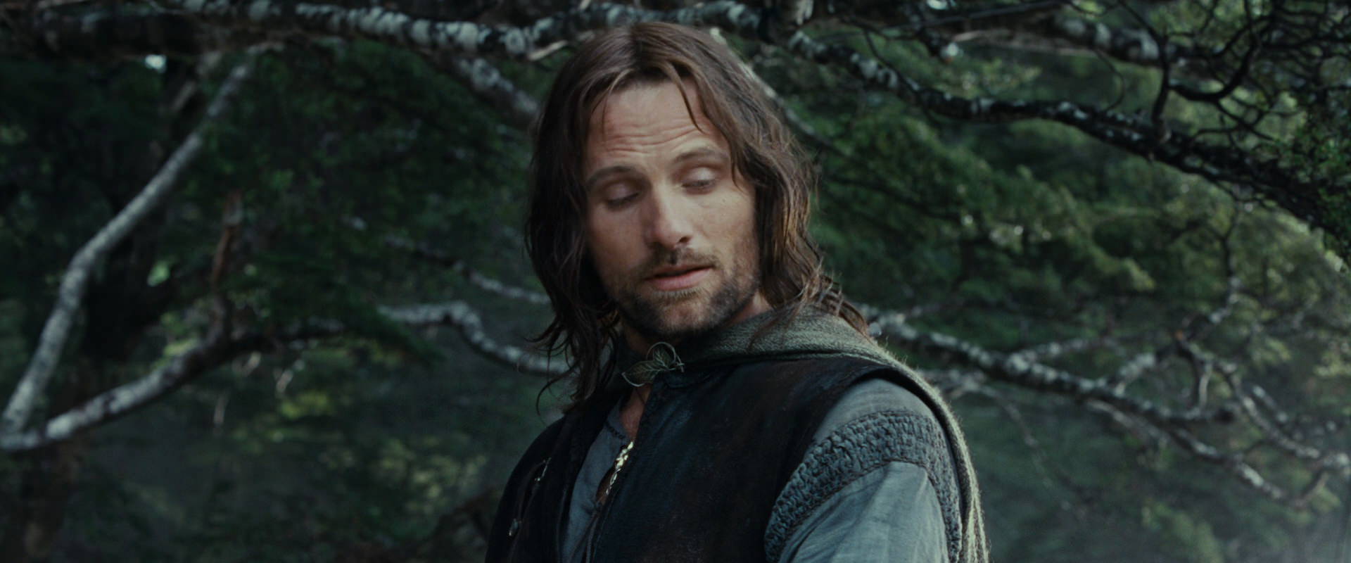 The Lord of the Rings: The Fellowship of the Ring (2001) HD screenshot 21182