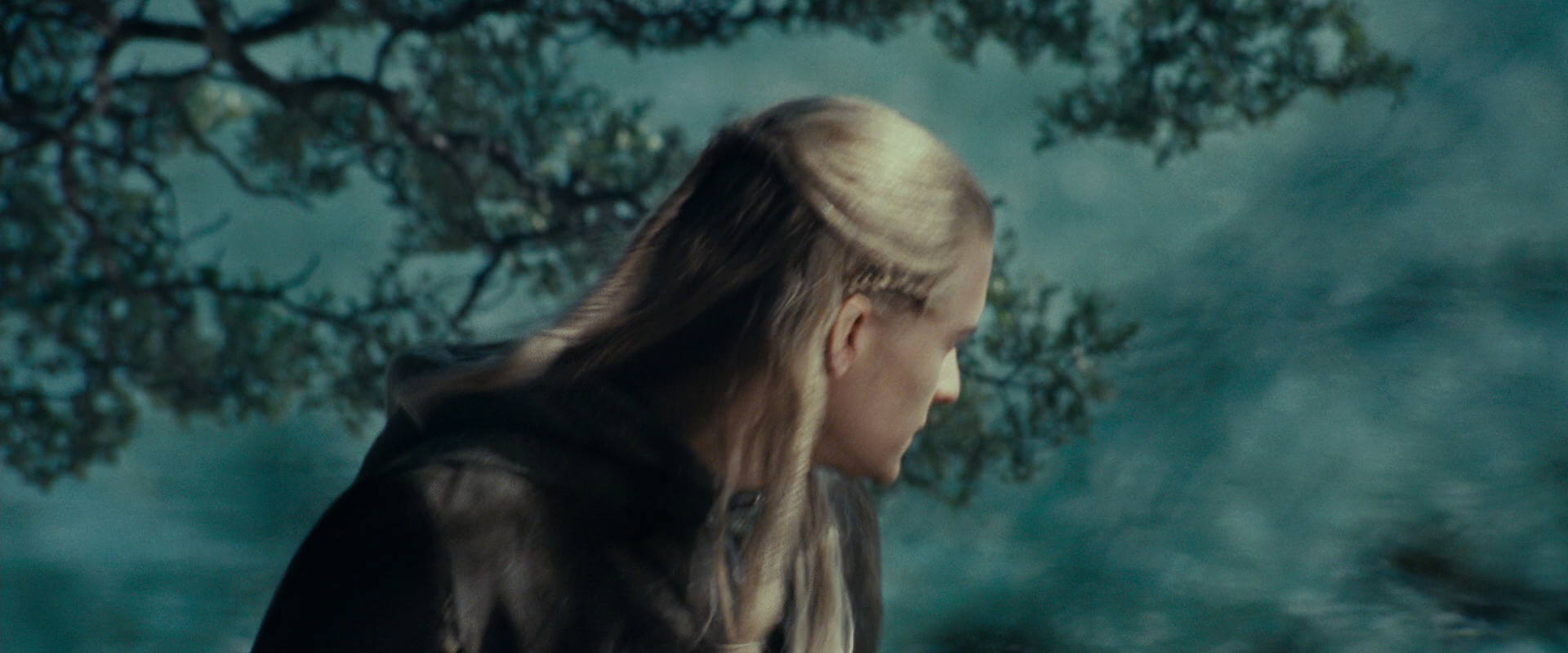 The Lord of the Rings: The Fellowship of the Ring (2001) movie still 21193