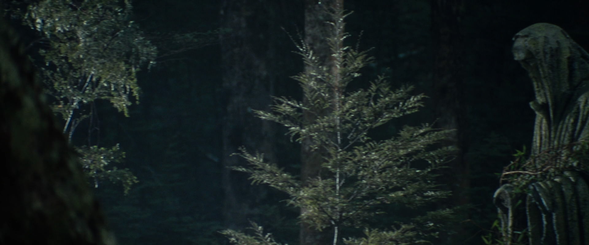 The Lord of the Rings: The Fellowship of the Ring (2001) movie still 21217