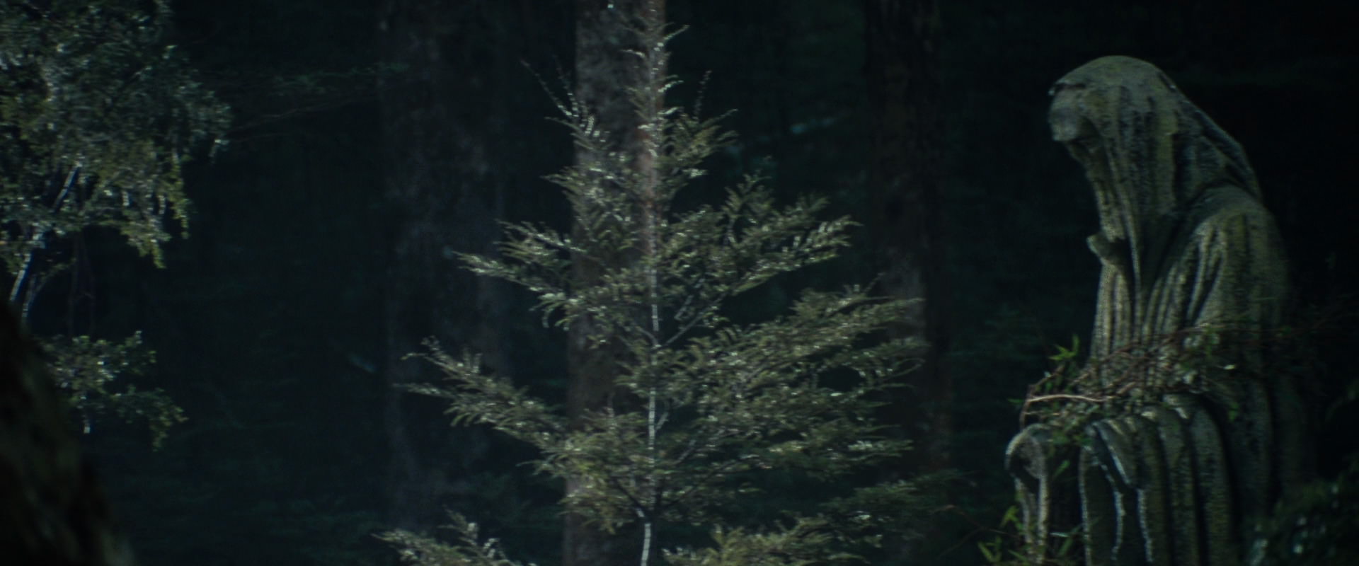 The Lord of the Rings: The Fellowship of the Ring (2001) HD screenshot 21218