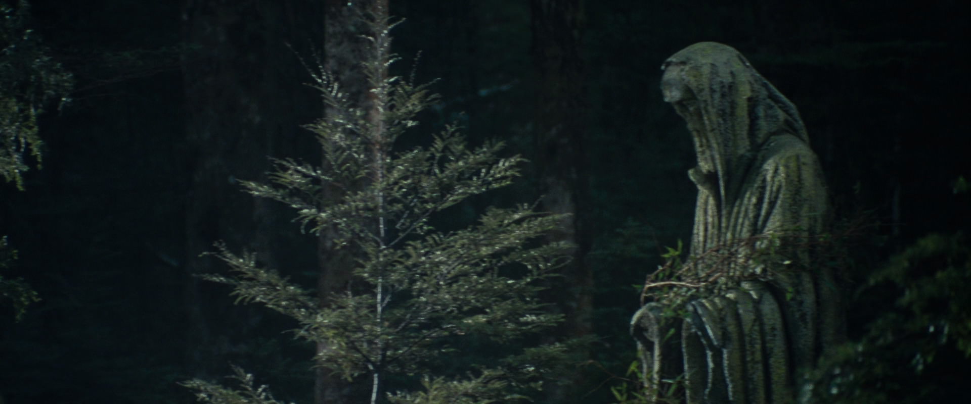 The Lord of the Rings: The Fellowship of the Ring (2001) screencap 21219