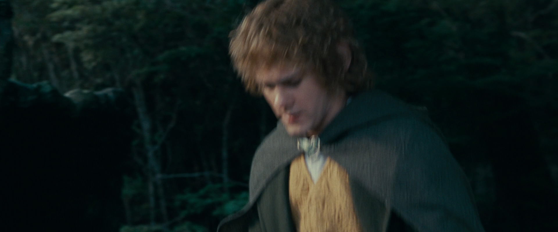 The Lord of the Rings: The Fellowship of the Ring (2001) screencap 21237