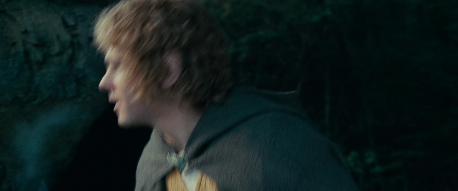 The Lord of the Rings: The Fellowship of the Ring (2001) movie still 21244