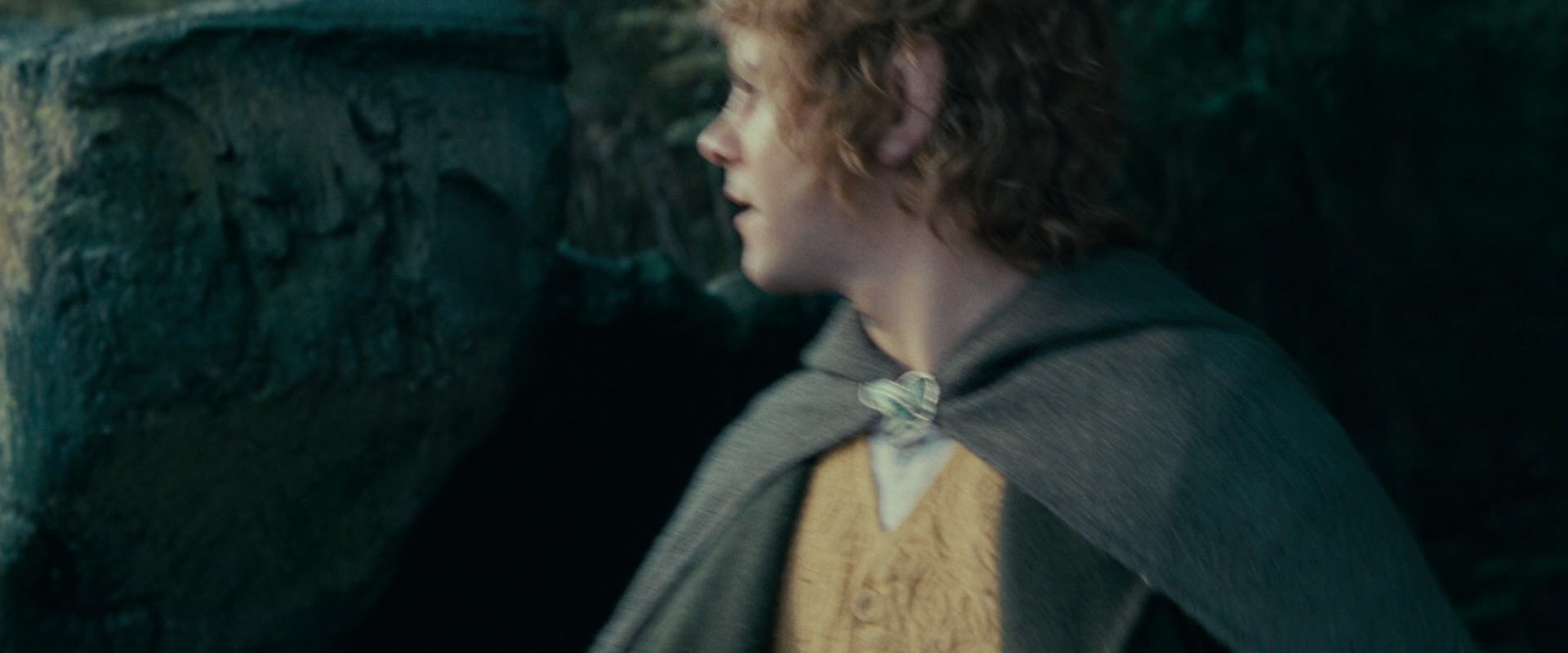 The Lord of the Rings: The Fellowship of the Ring (2001) HD screenshot 21245