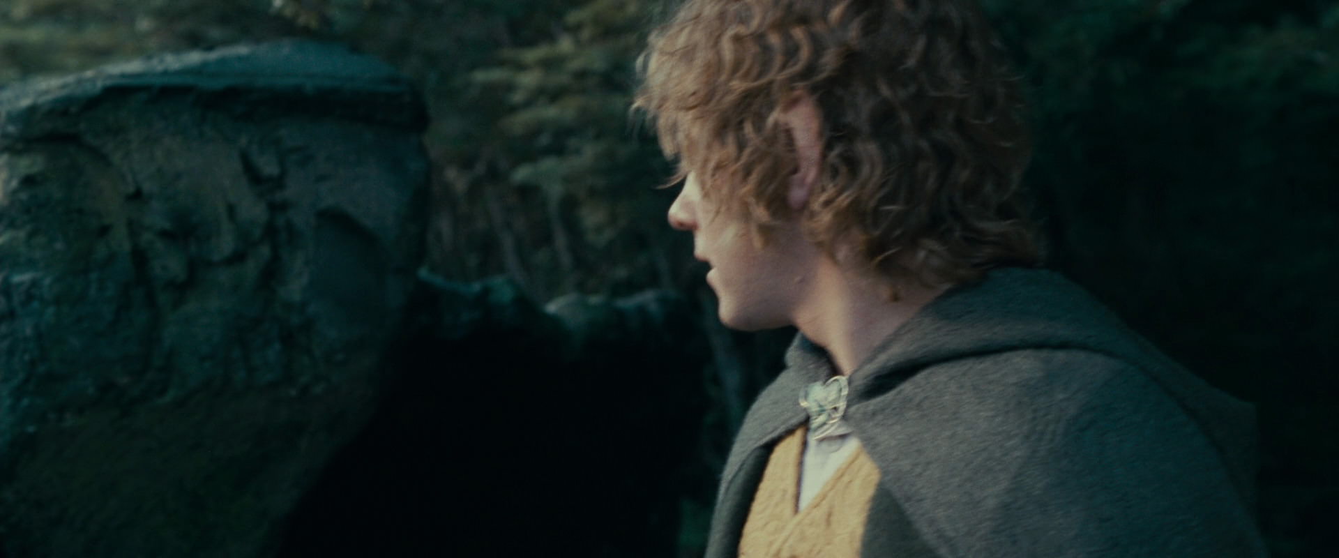 The Lord of the Rings: The Fellowship of the Ring (2001) screencap 21246