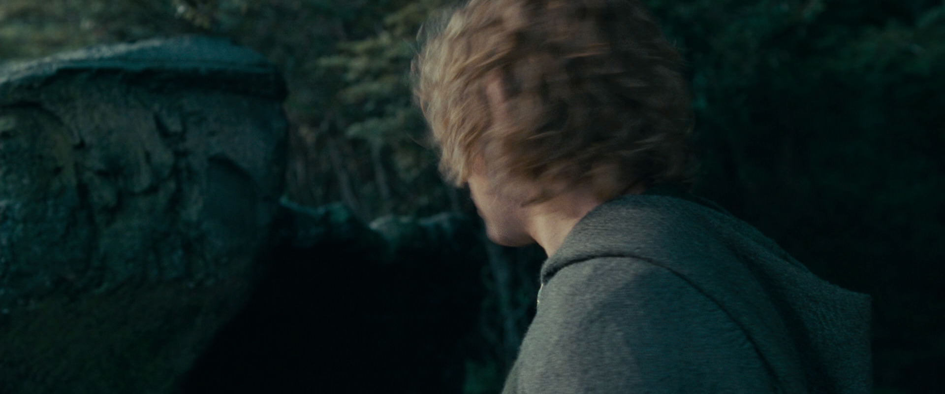 The Lord of the Rings: The Fellowship of the Ring (2001) HD screenshot 21248