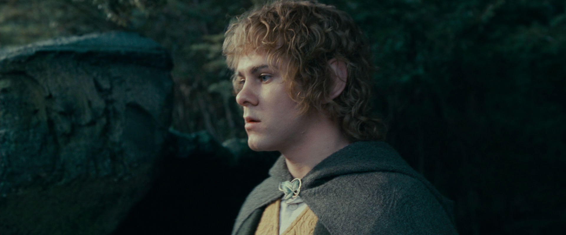 The Lord of the Rings: The Fellowship of the Ring (2001) screencap 21249