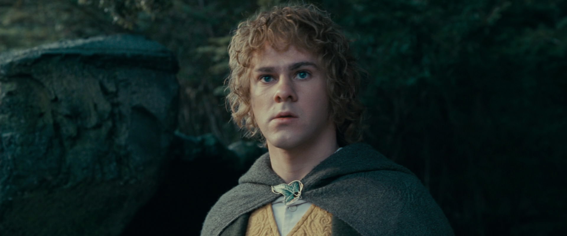 The Lord of the Rings: The Fellowship of the Ring (2001) movie still 21250