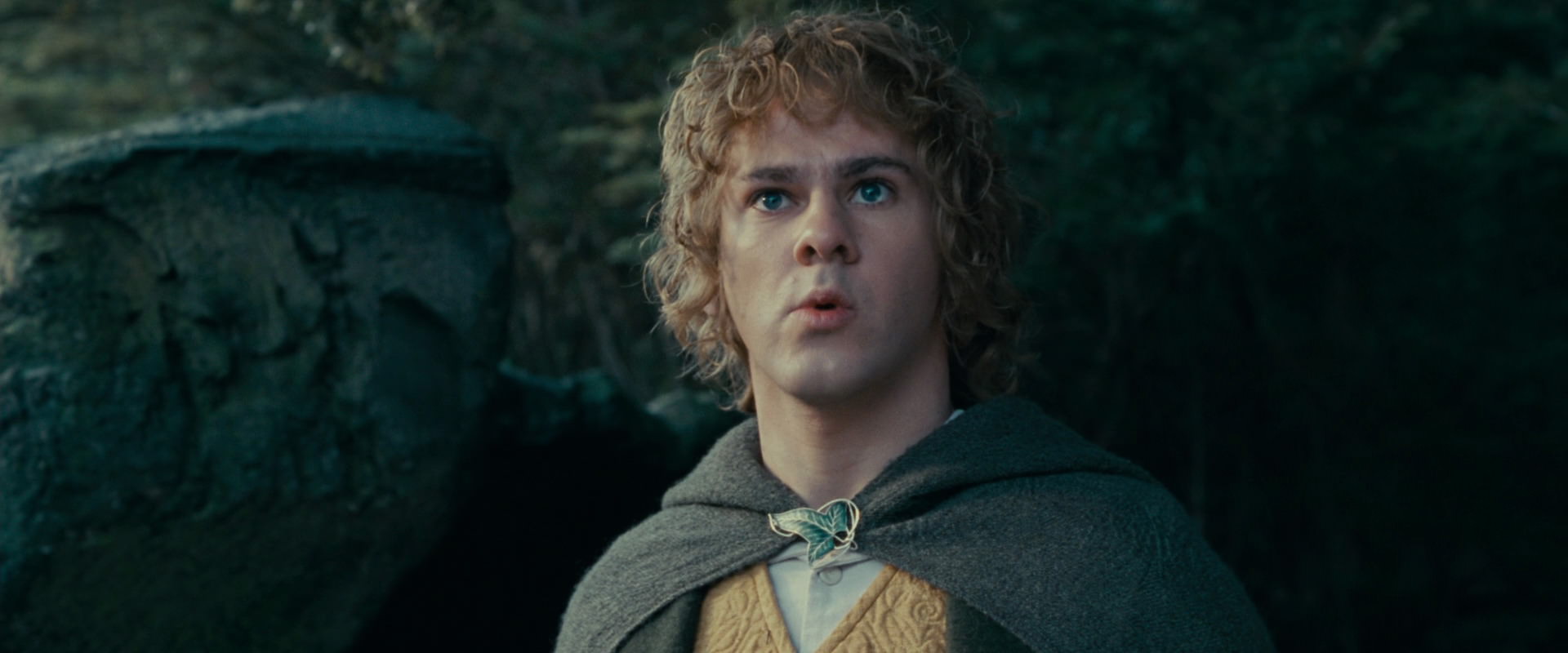The Lord of the Rings: The Fellowship of the Ring (2001) HD screenshot 21251