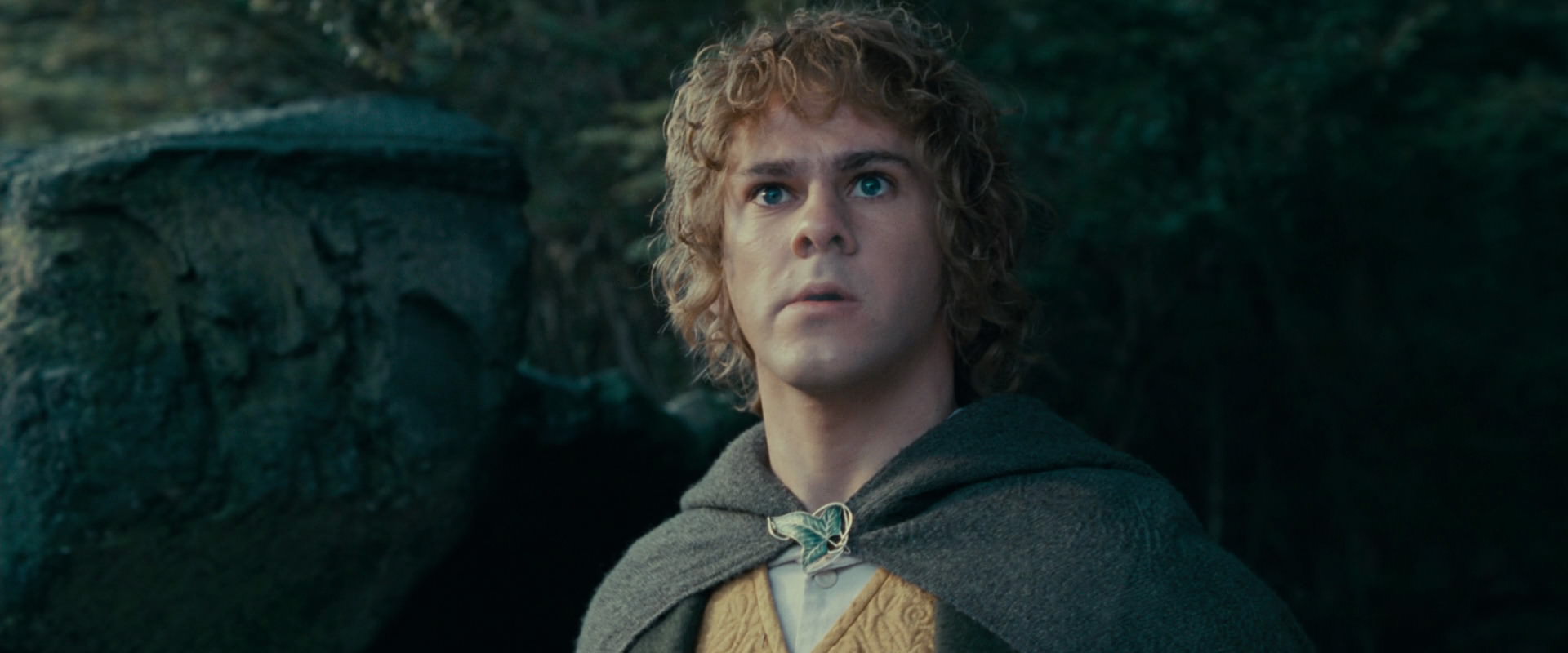 The Lord of the Rings: The Fellowship of the Ring (2001) screencap 21252