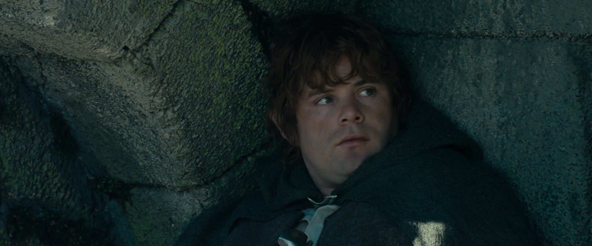 The Lord of the Rings: The Fellowship of the Ring (2001) HD screenshot 21257