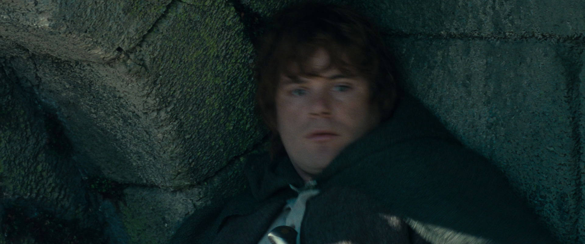 The Lord of the Rings: The Fellowship of the Ring (2001) screencap 21258