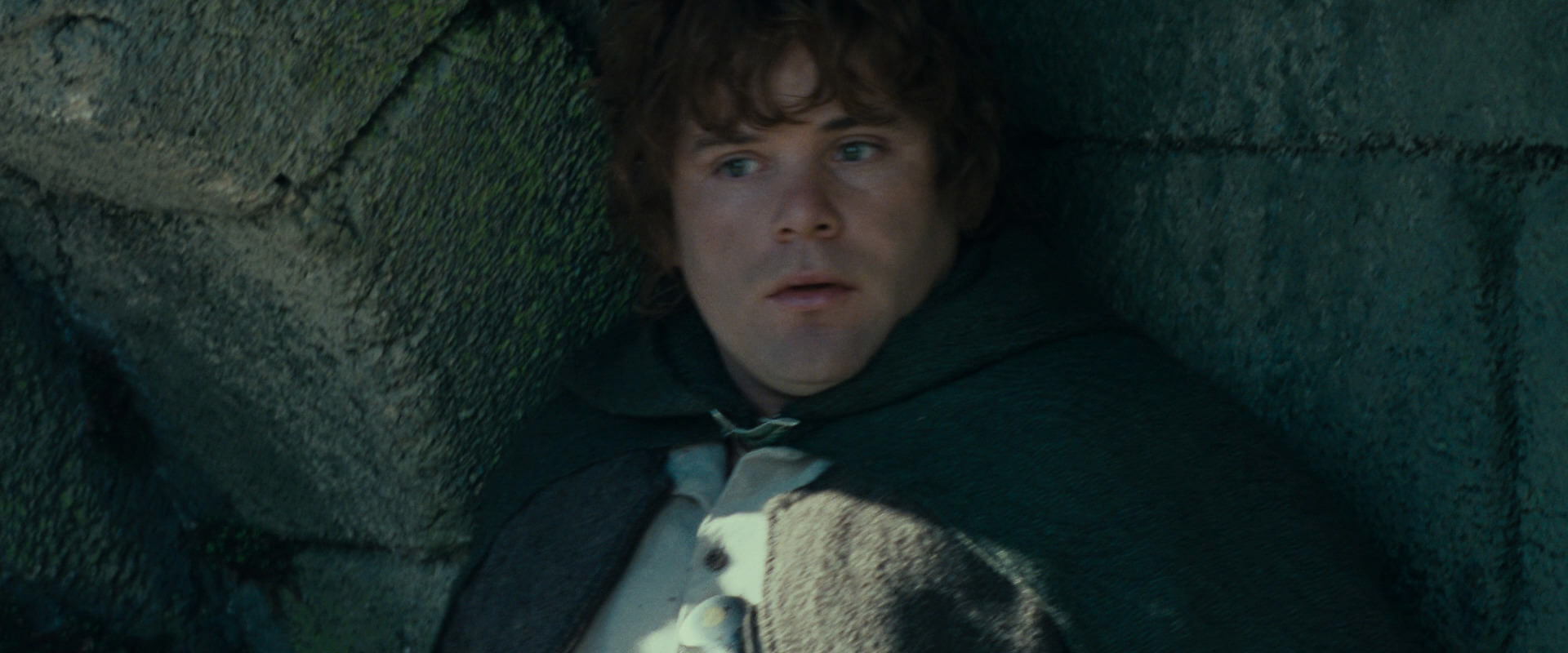 The Lord of the Rings: The Fellowship of the Ring (2001) movie still 21259