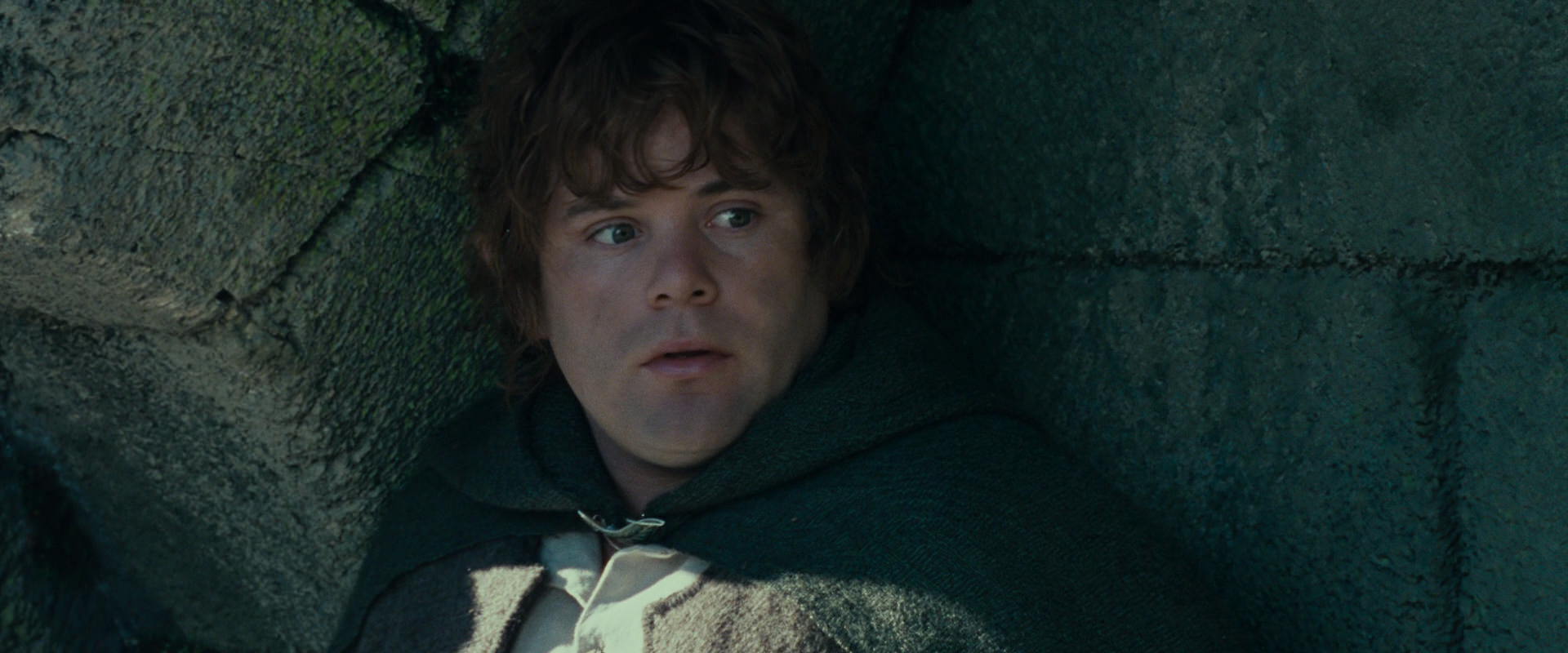 The Lord of the Rings: The Fellowship of the Ring (2001) HD screenshot 21260