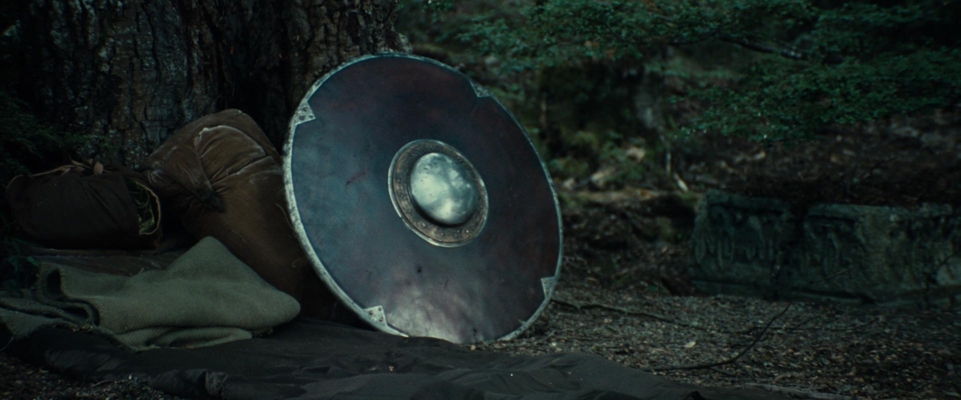 The Lord of the Rings: The Fellowship of the Ring (2001) screencap 21270