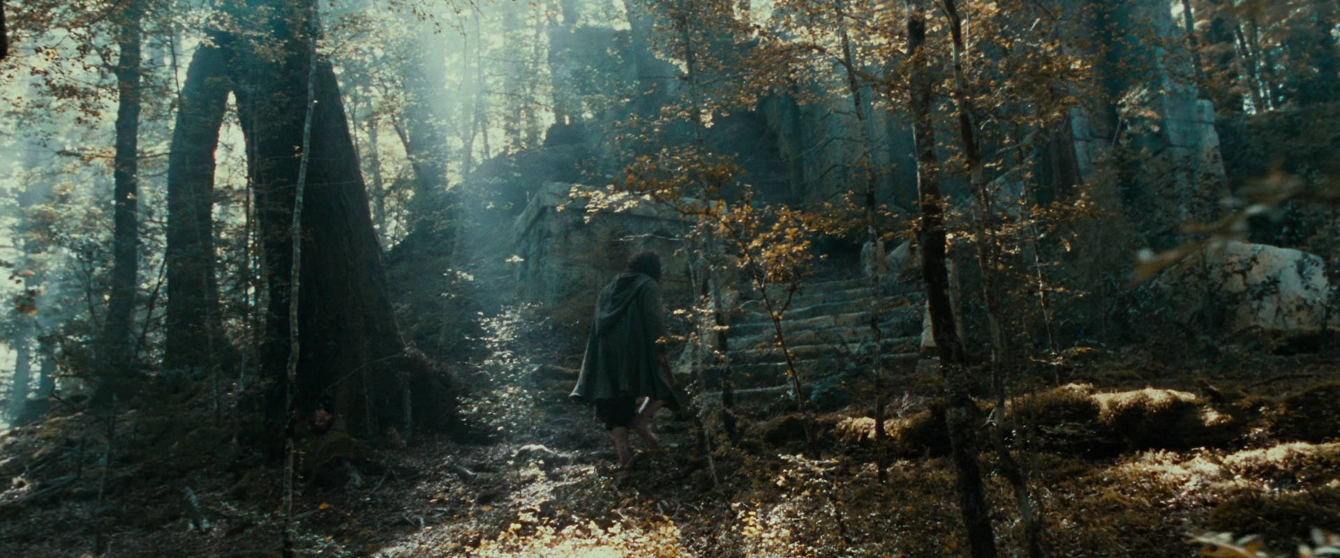 The Lord of the Rings: The Fellowship of the Ring (2001) HD screenshot 21272