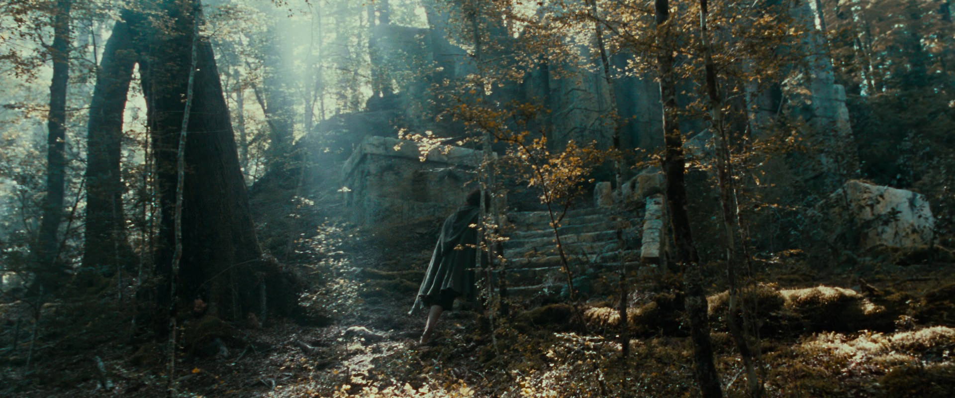 The Lord of the Rings: The Fellowship of the Ring (2001) screencap 21273