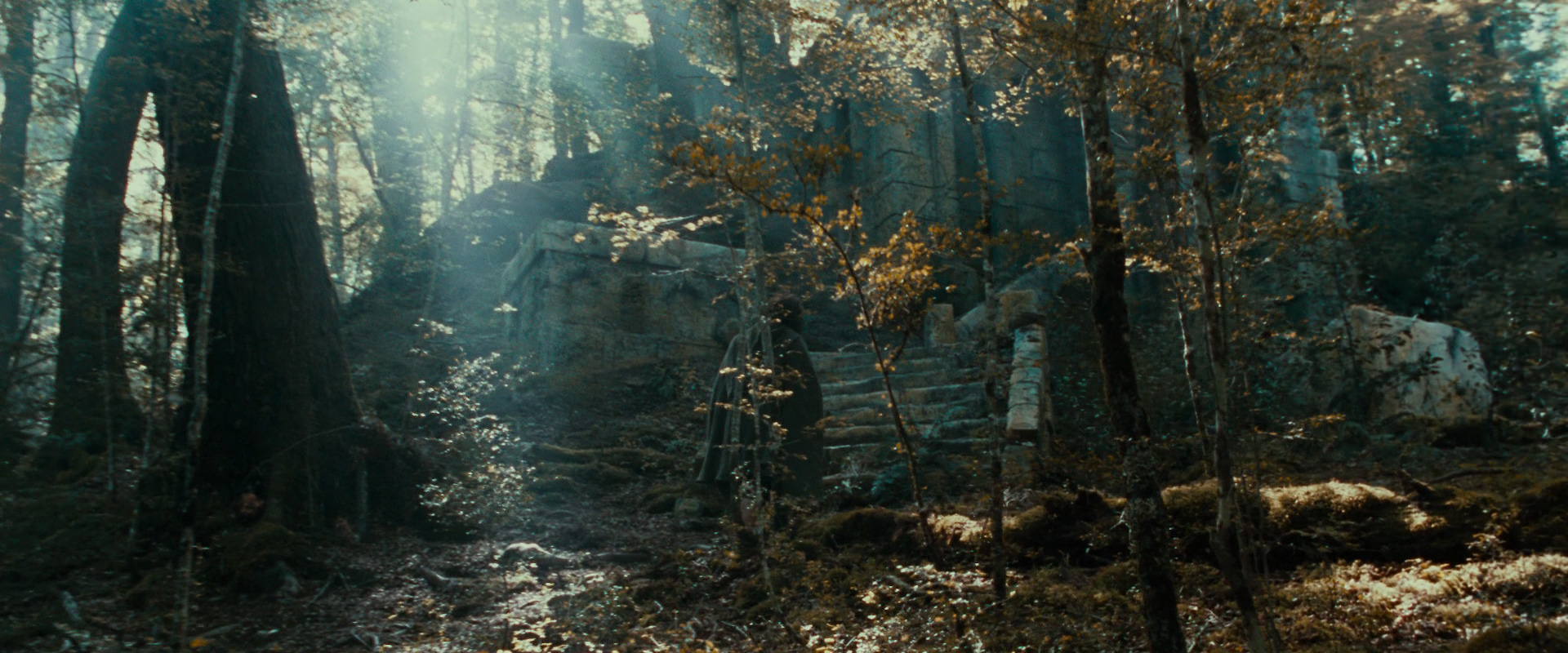 The Lord of the Rings: The Fellowship of the Ring (2001) movie still 21274
