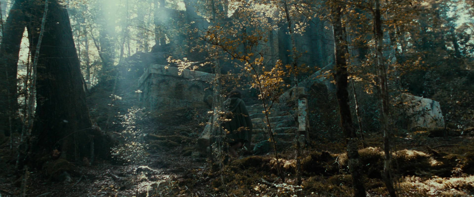 The Lord of the Rings: The Fellowship of the Ring (2001) HD screenshot 21275