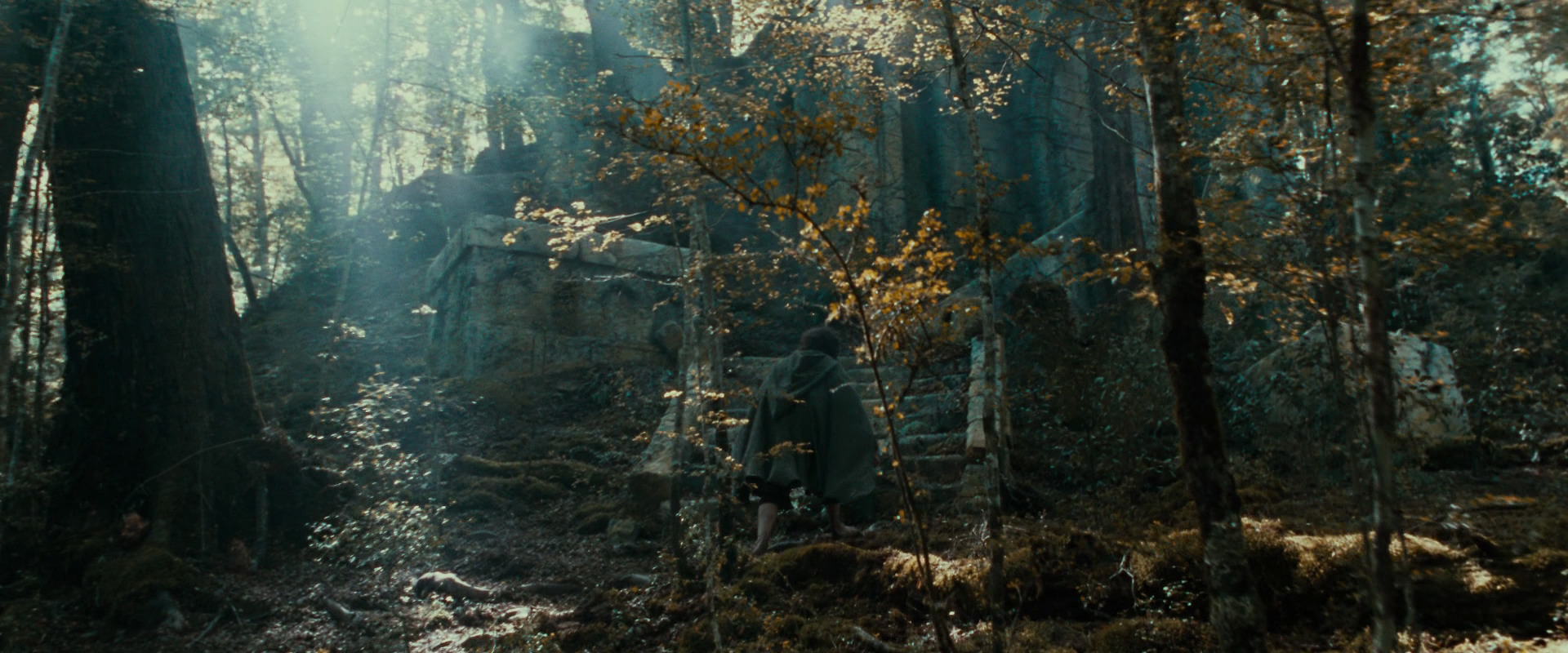 The Lord of the Rings: The Fellowship of the Ring (2001) screencap 21276