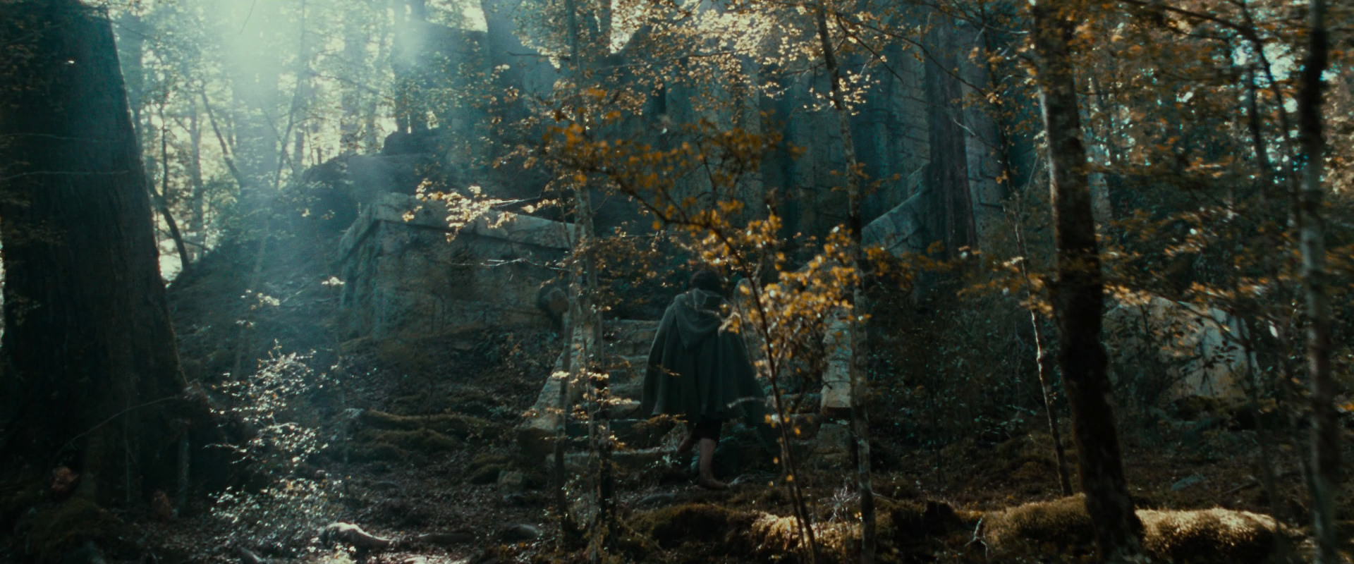 The Lord of the Rings: The Fellowship of the Ring (2001) movie still 21277