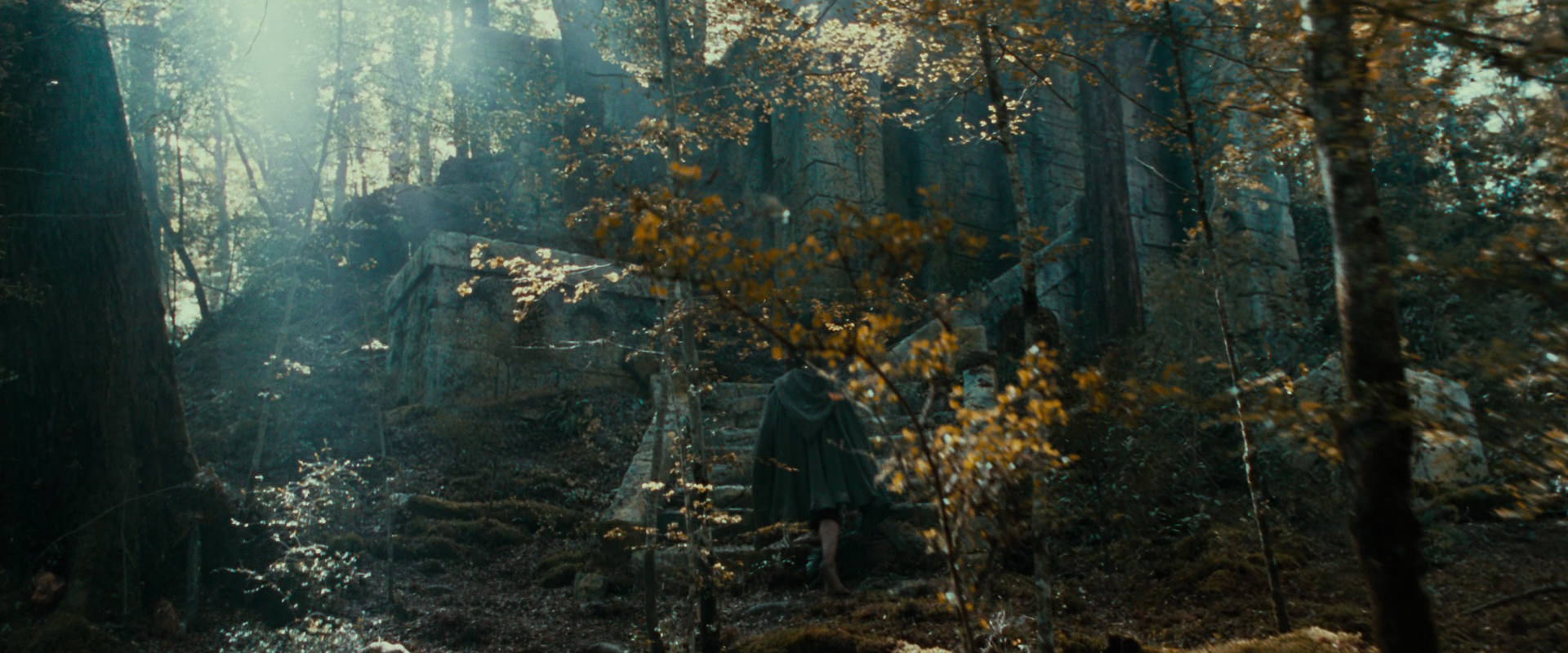 The Lord of the Rings: The Fellowship of the Ring (2001) HD screenshot 21278