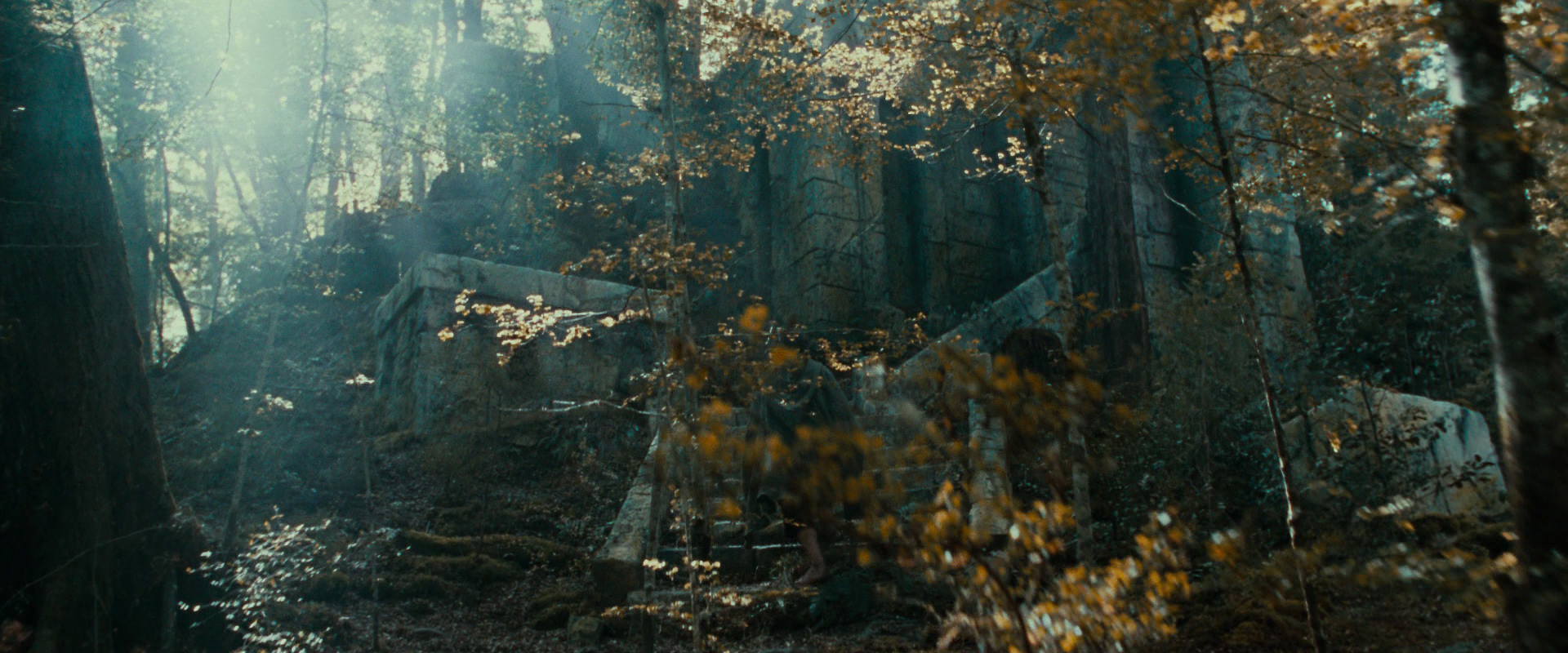 The Lord of the Rings: The Fellowship of the Ring (2001) screencap 21279