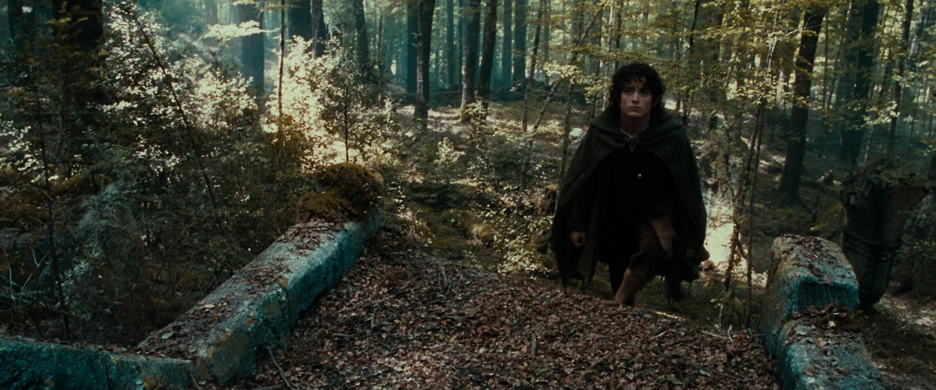 The Lord of the Rings: The Fellowship of the Ring (2001) screencap 21282