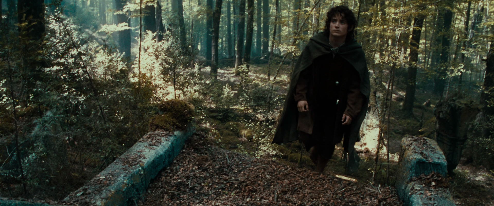 The Lord of the Rings: The Fellowship of the Ring (2001) movie still 21283